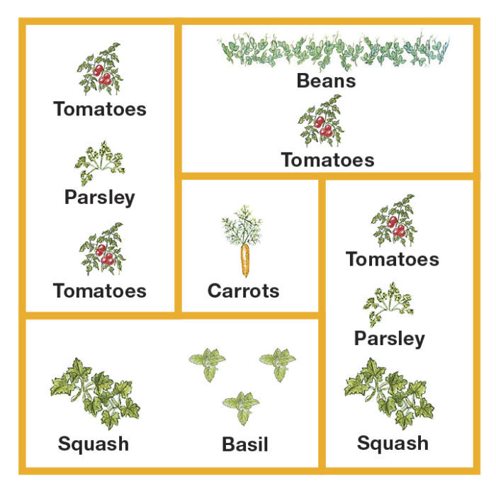 vegetable planting plan for a garden out of straw