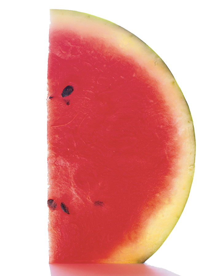 slice of watermelon