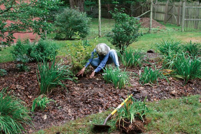 building plant beds from leaves