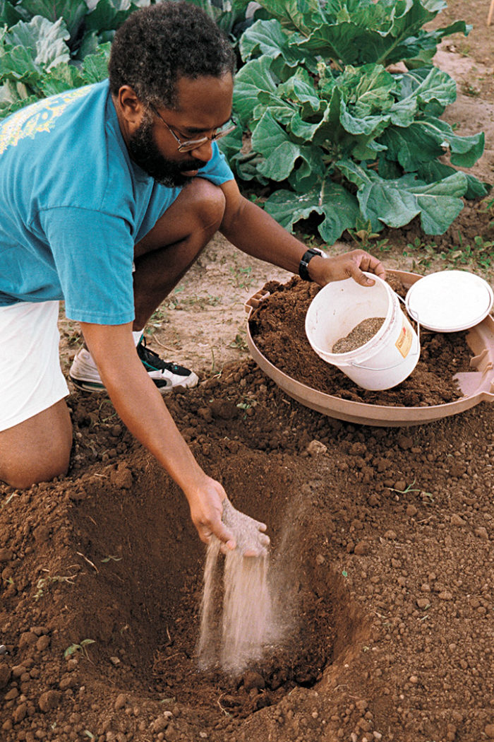 Fertilize with a premade mix of blood meal, bone meal, green sand, lime, sulfur, wood ash, and kelp powder. Photo: Mark Vassalo