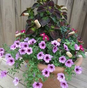 container with purple flowers and wine cork decoration