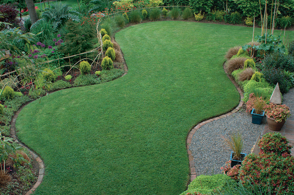 turf in a garden