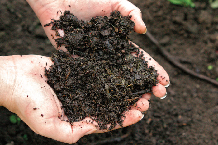 tend your own compost or buy compost