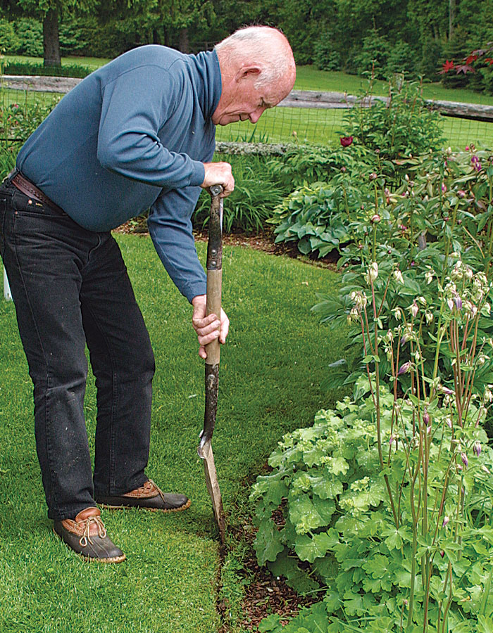 How to Edge Garden Beds Effectively With a Lawn Edger: Expert Tips