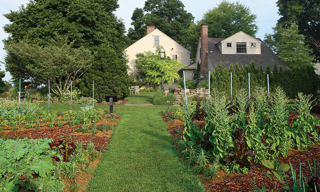 Paths are staggered and the sizes and shapes of the beds differ widely allowing for the larger crops in the northernmost beds and along the eastern border to form a visual backdrop