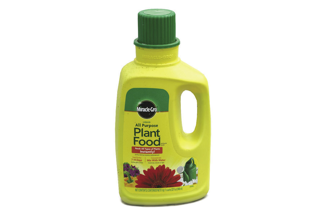 plant food miracle gro