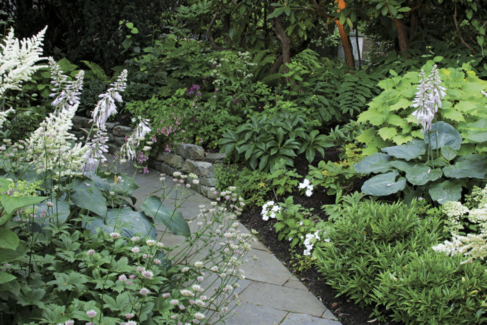 bluestone pathway in the garden