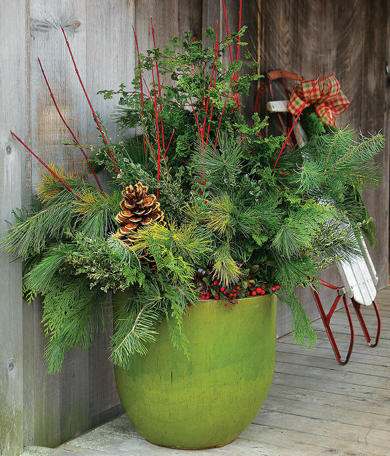 Autumn Pots Minus The Mums - Fine Gardening