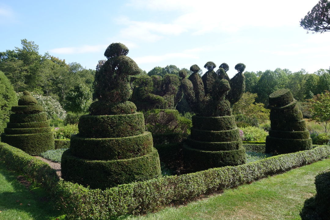 Creative Gardening With Topiary - Fine Gardening