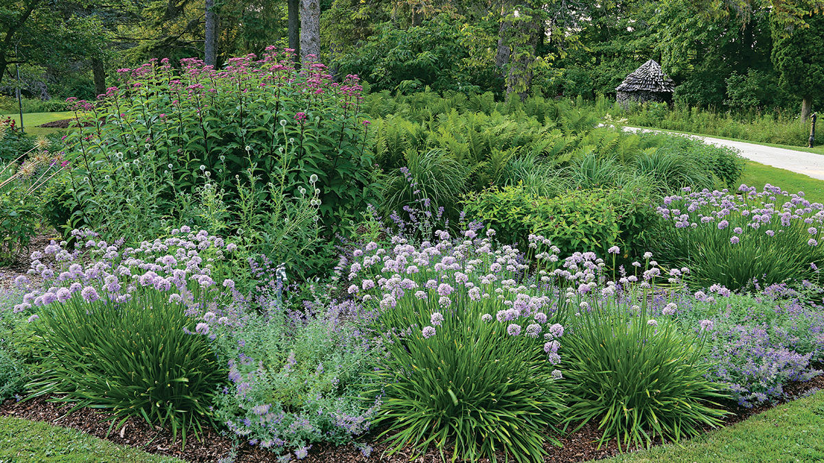 Answers to Common Mass Planting Questions - Fine Gardening