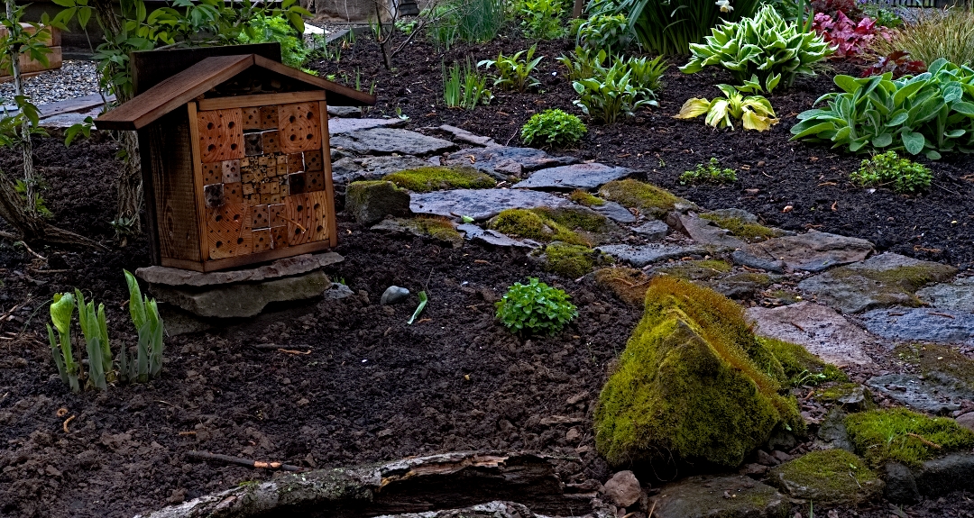 bug hotel