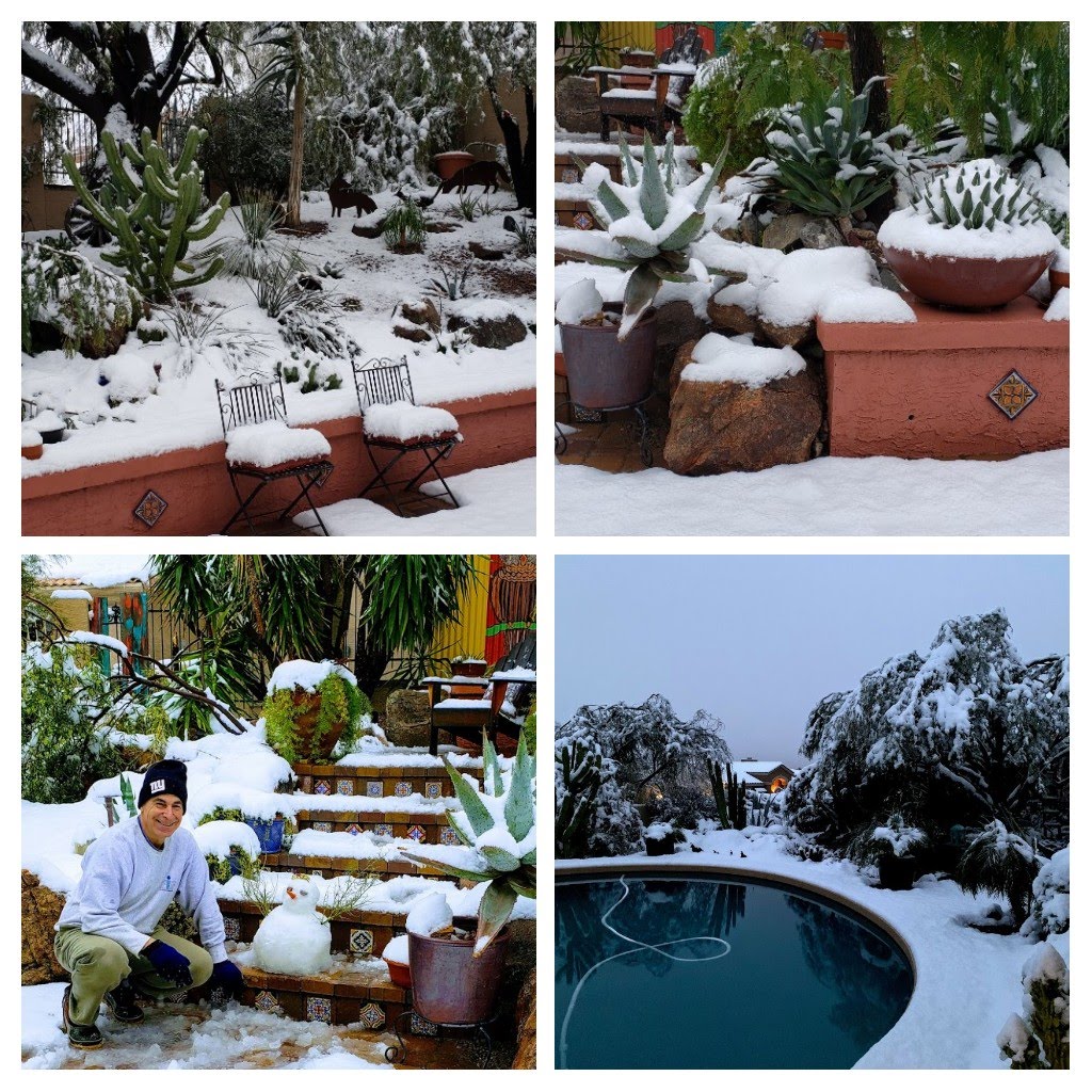 snow in Arizona