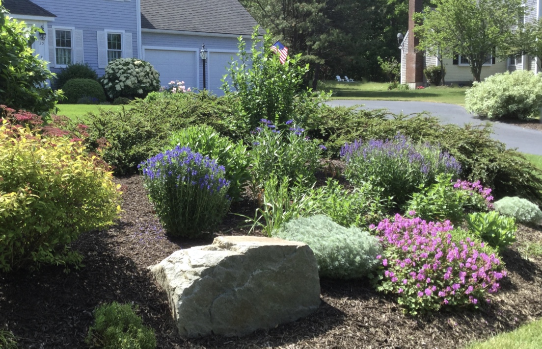 front yard garden bed