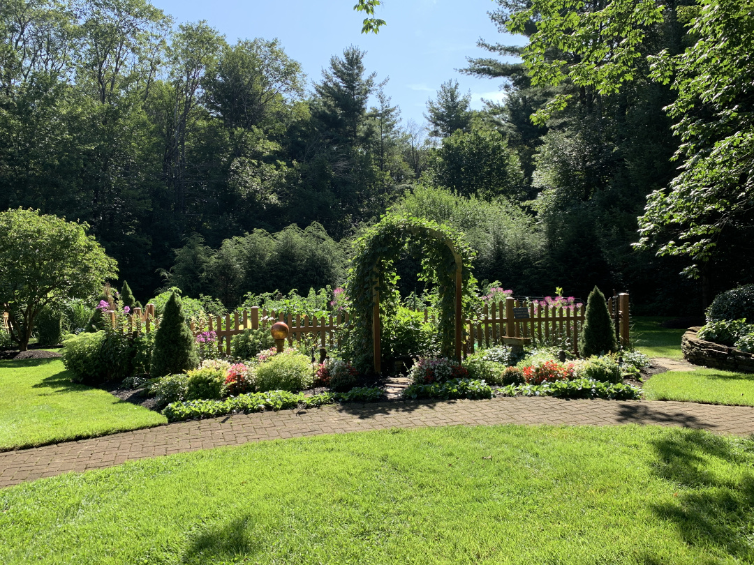 vegetable garden