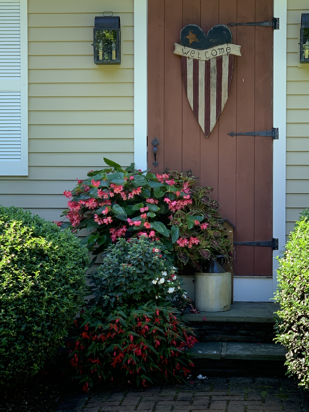 shade-loving annuals