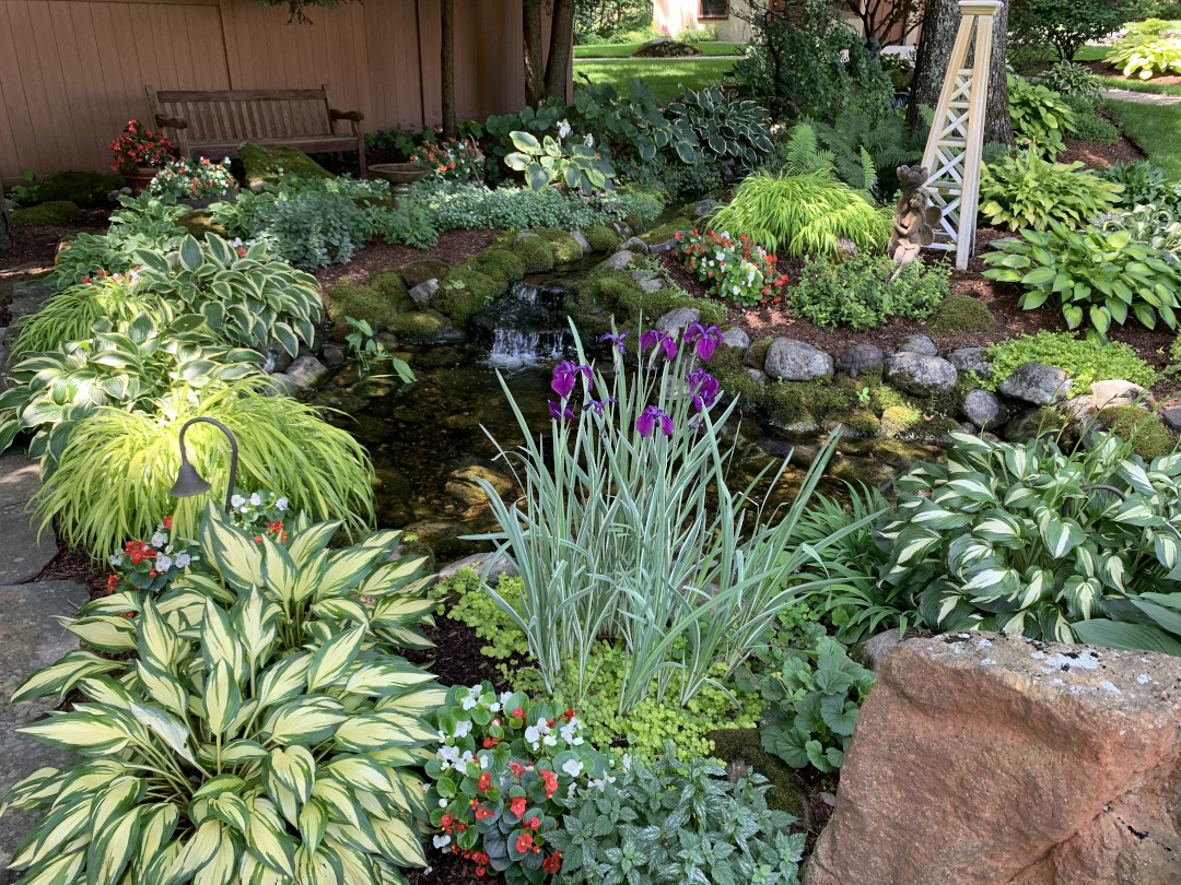 garden pond