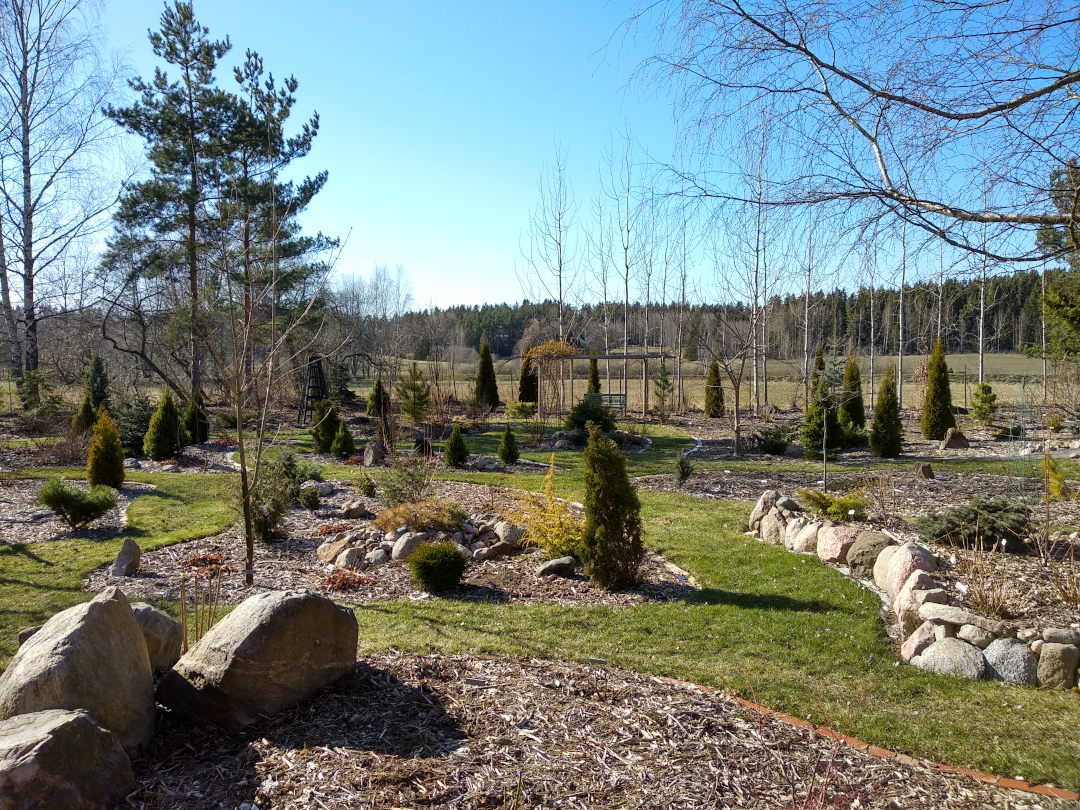 early spring in finland garden