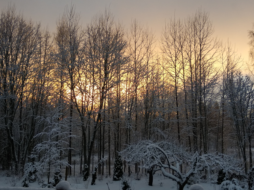 winter afternoon sunset