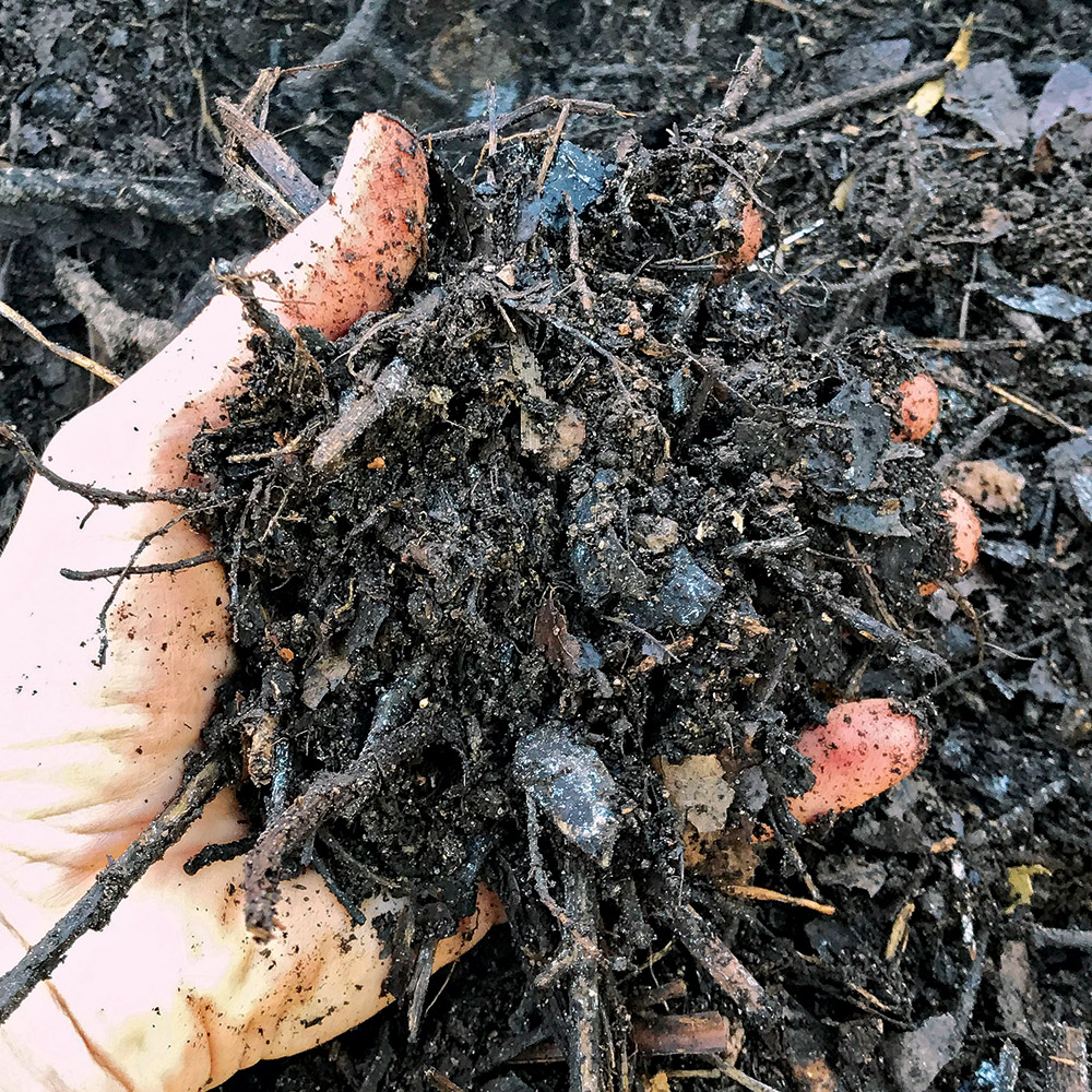 How to Dry Out Compost  