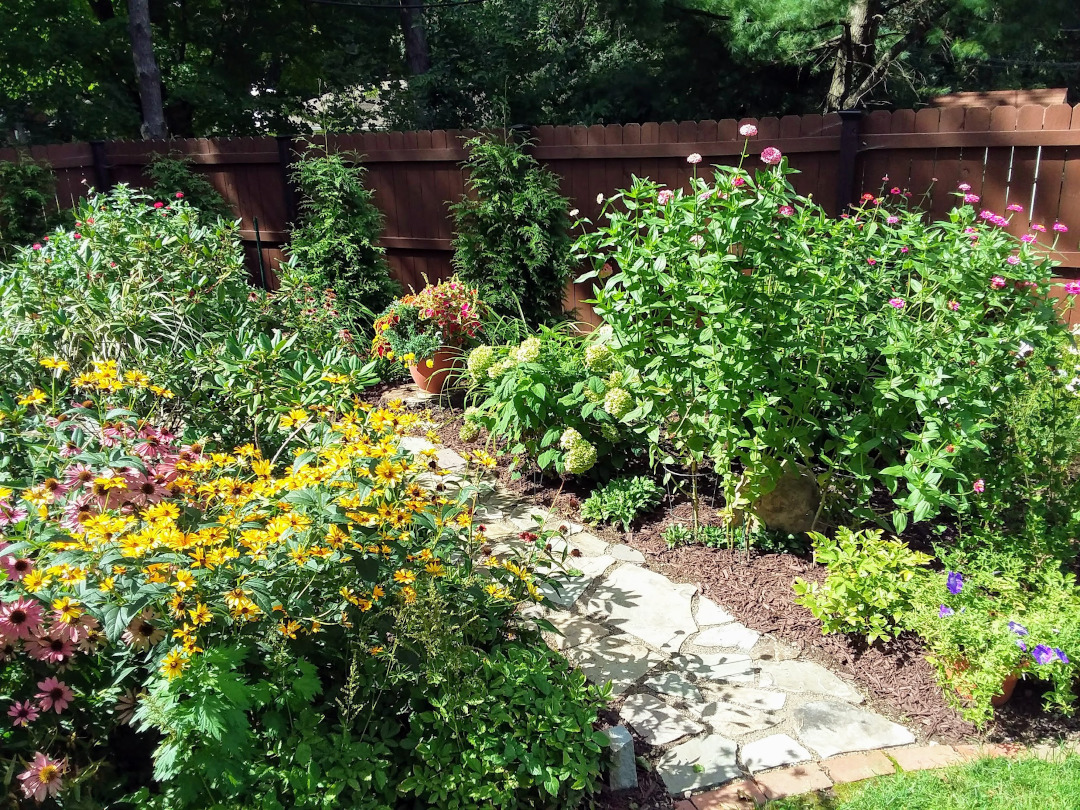 stone path between lots of perennials