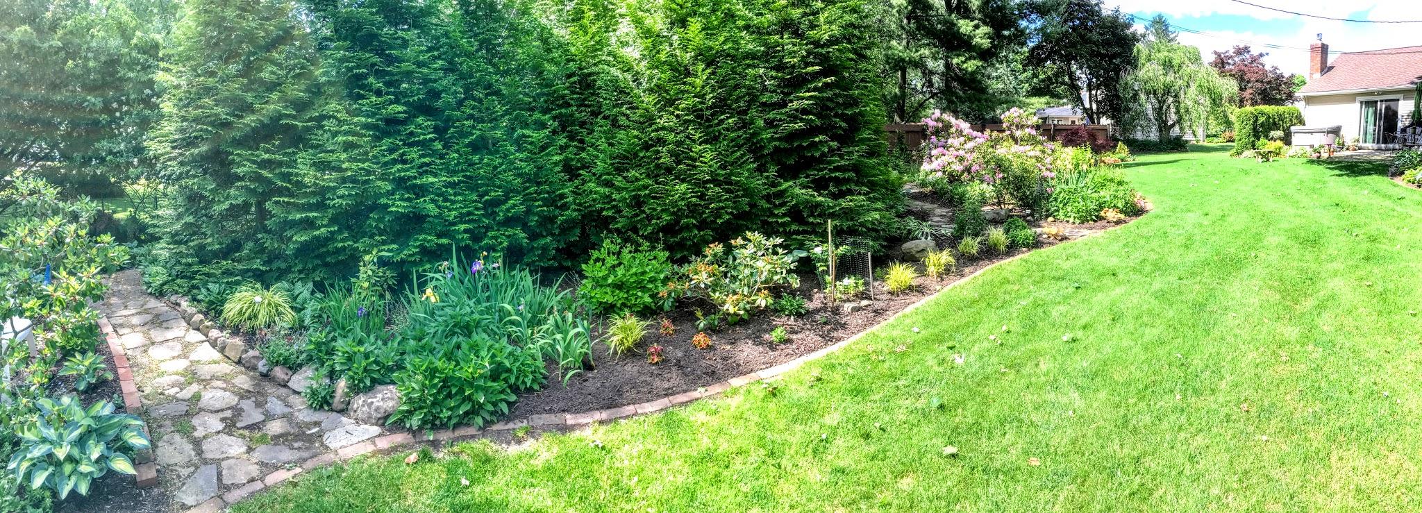 garden path through trees