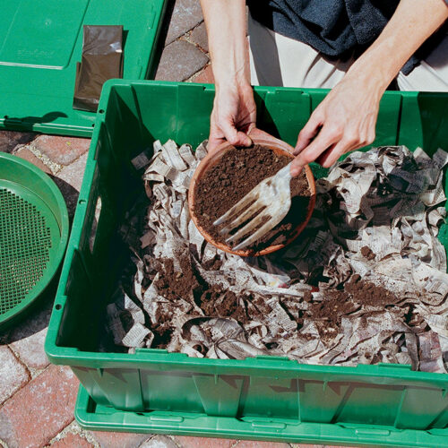 potting soil added to bin