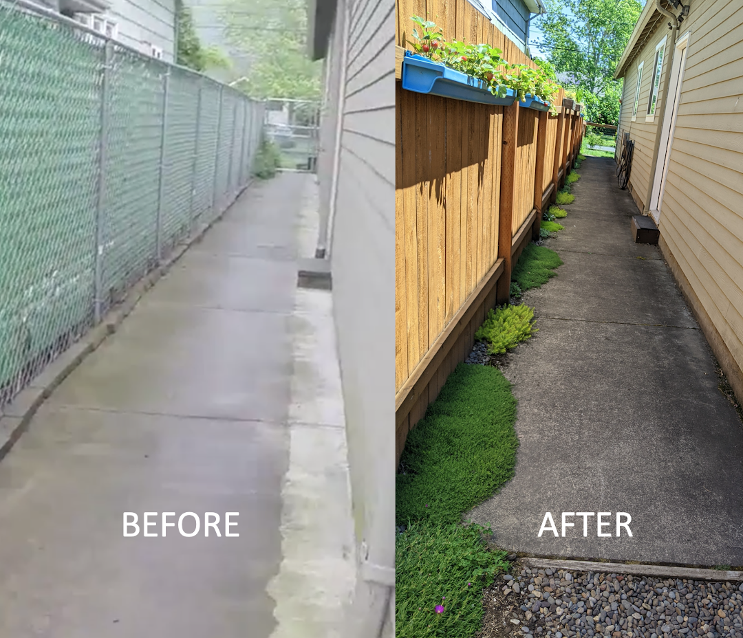 before and after of side yard garden