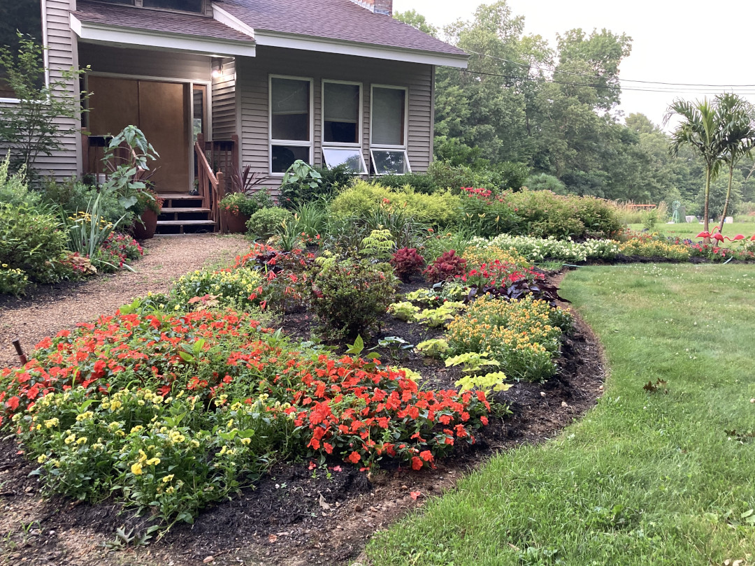 front yard garden bed with red and yellow plants