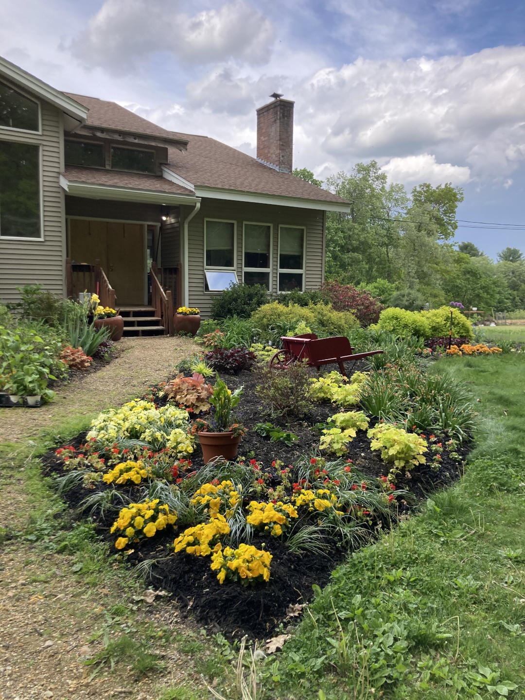 garden bed with lots of red and yellow