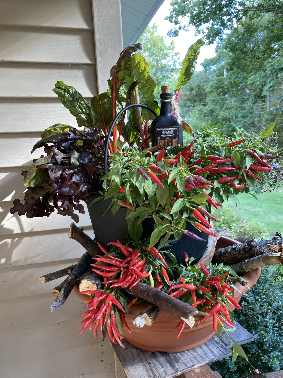 container with red and orange flowers