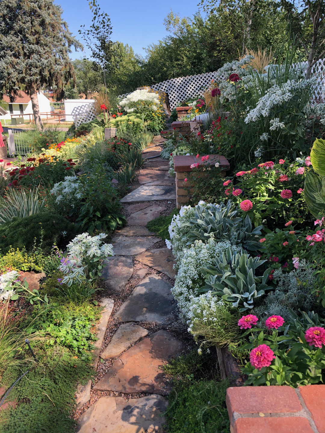 garden in peak bloom