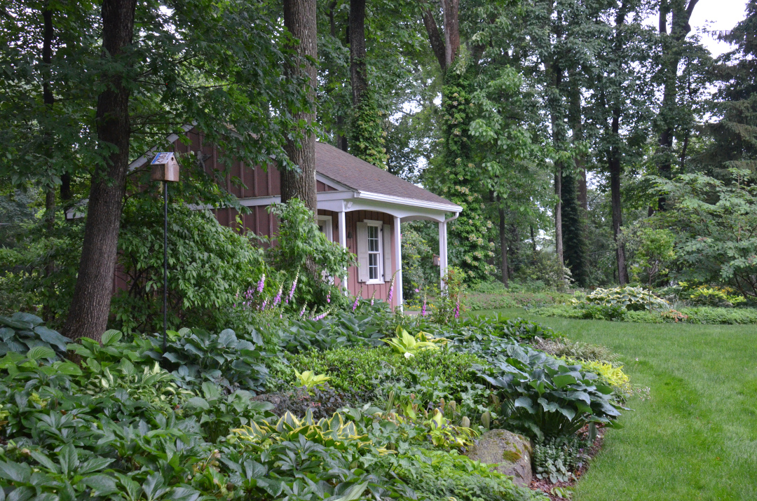 garden shed surrounded by trees and shade gardens