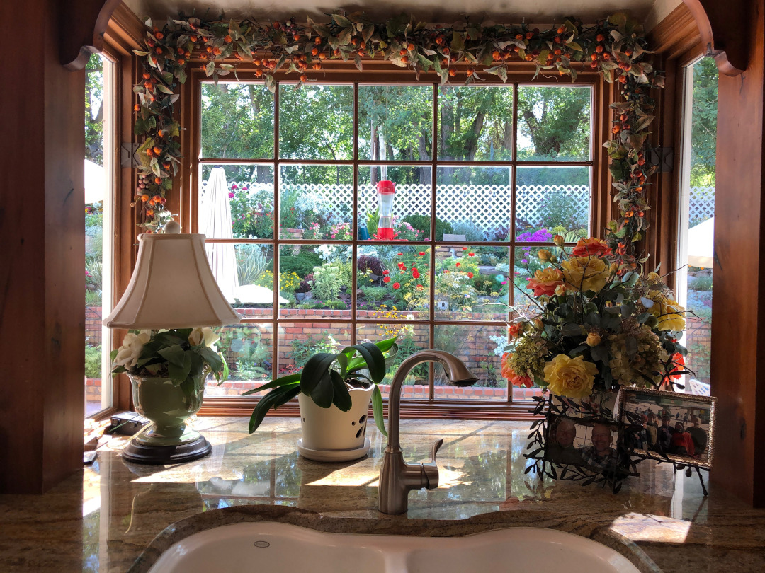 view of the garden from kitchen window