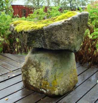 rock seat with a moss cushion 