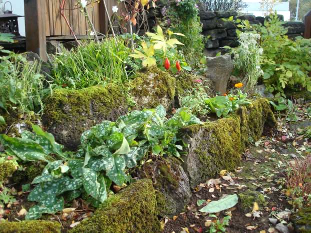 rocks and flower beds