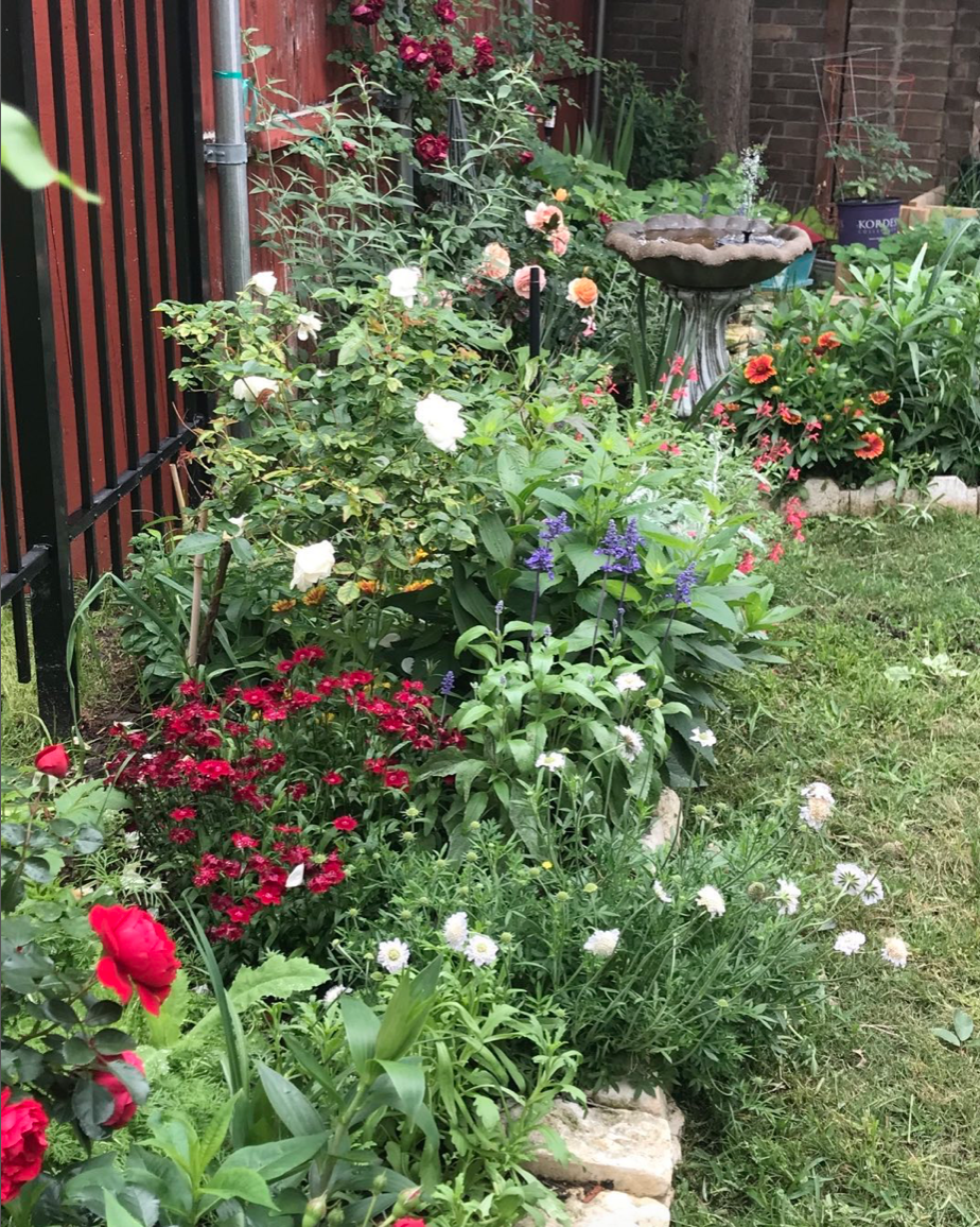 small garden beds filled with flowers along a fence