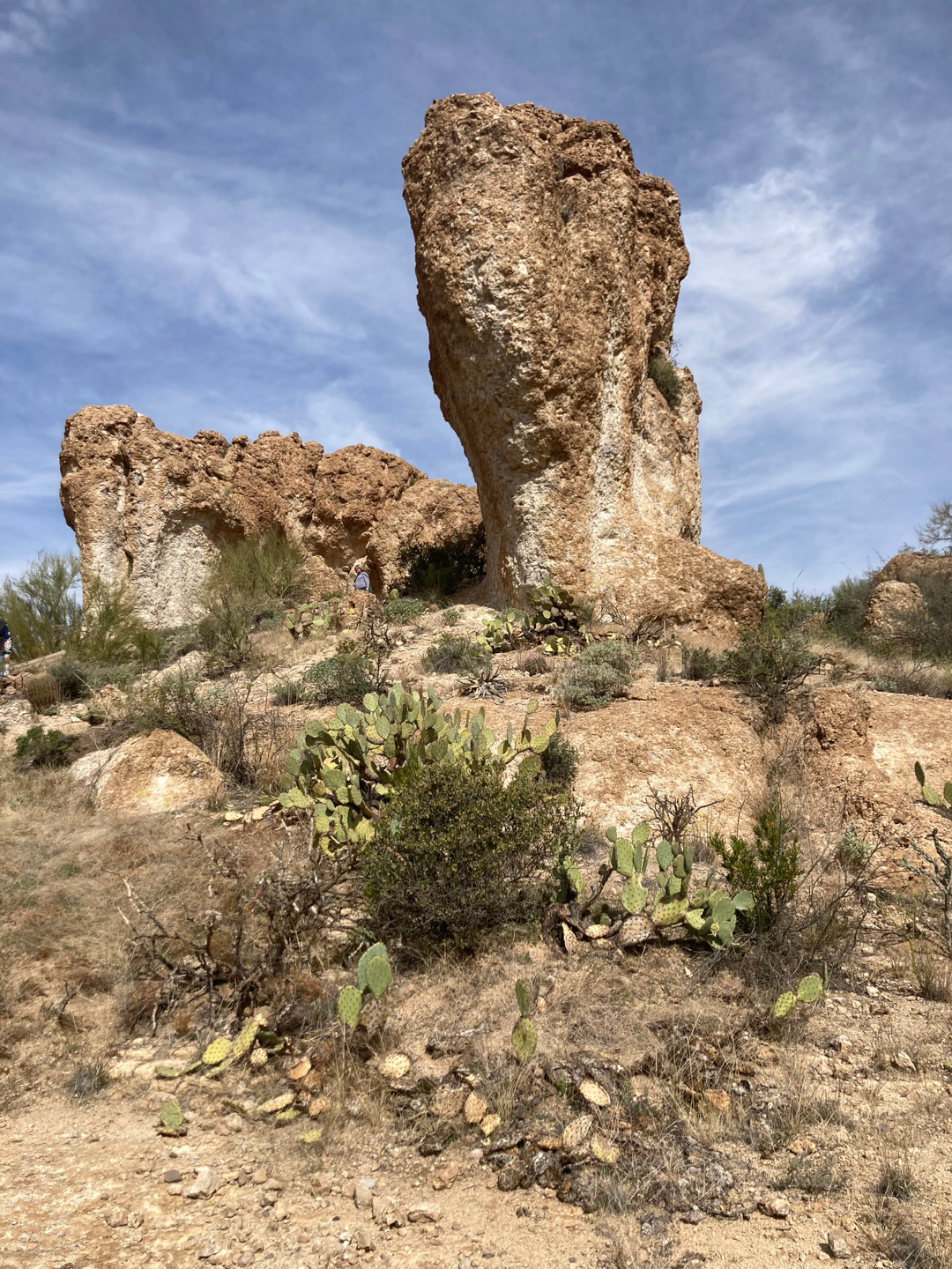 rock formations and cacti