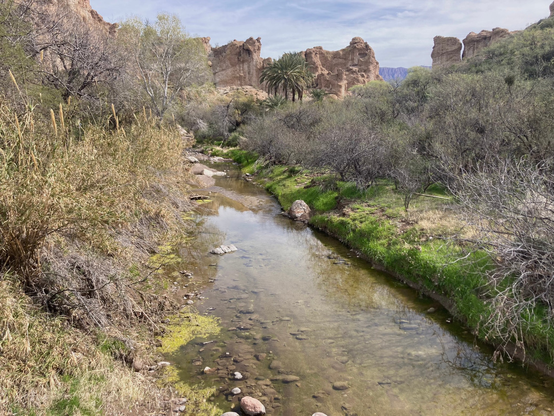 small creek running through desert landscape