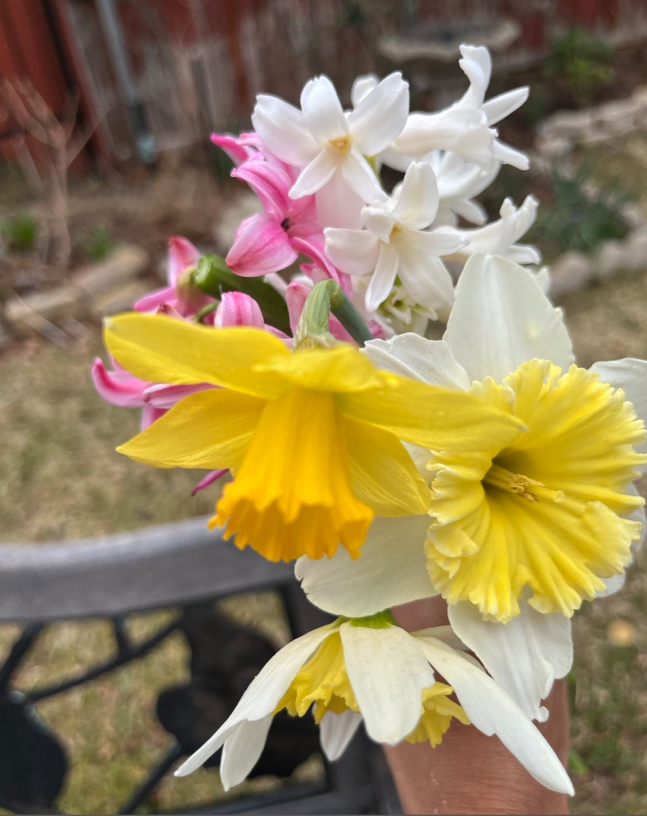 a bouquet of spring blooming plants