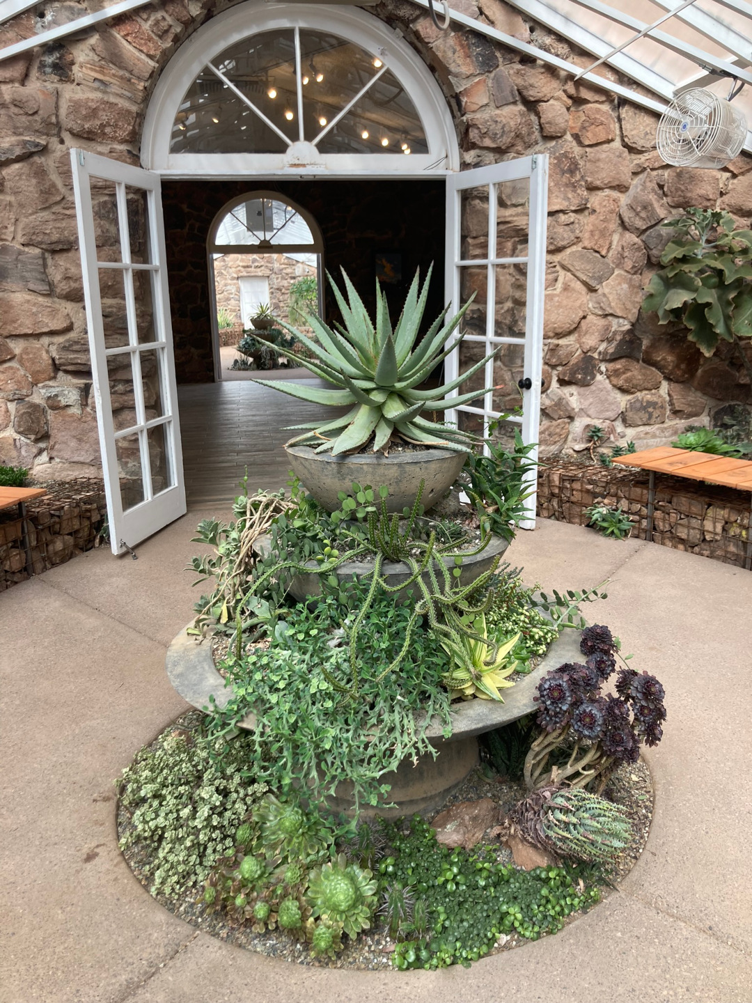 container display with succulents