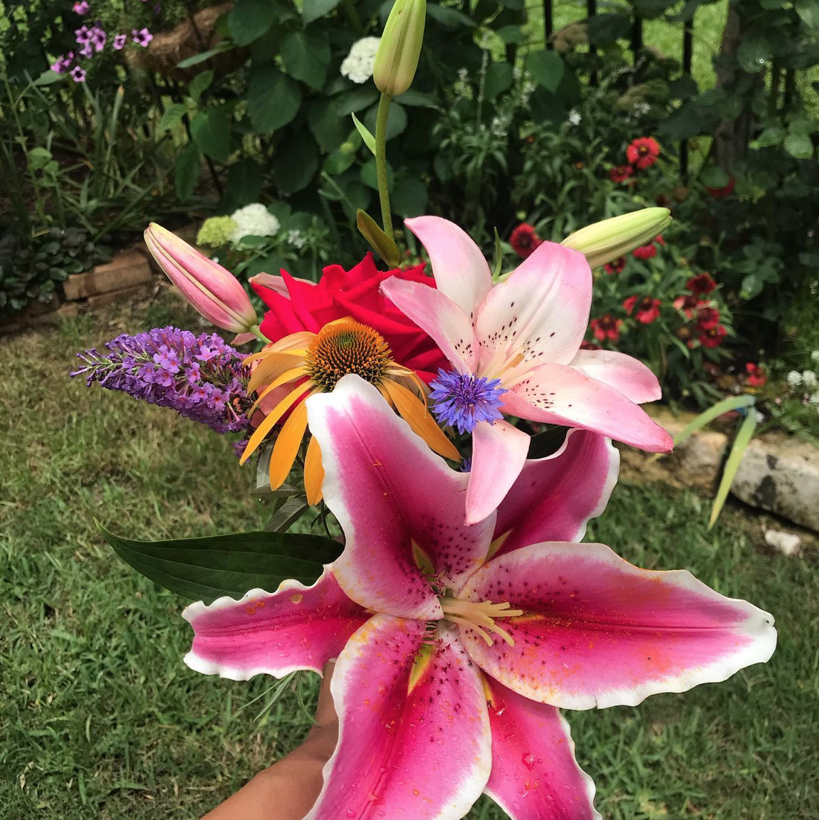 bouquet of summer flowers in various colors and forms