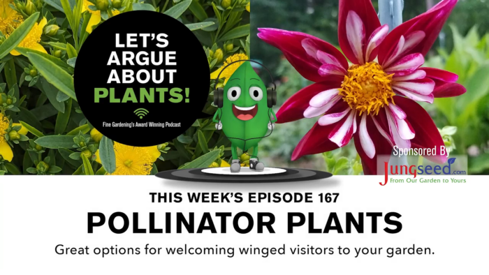 Episode 167: Pollinator Plants