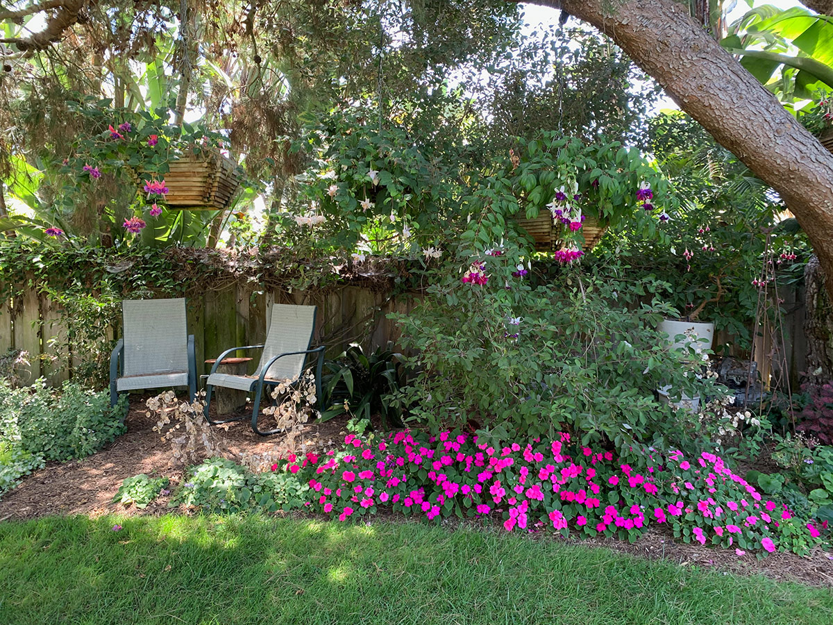 fuchsia with impatiens