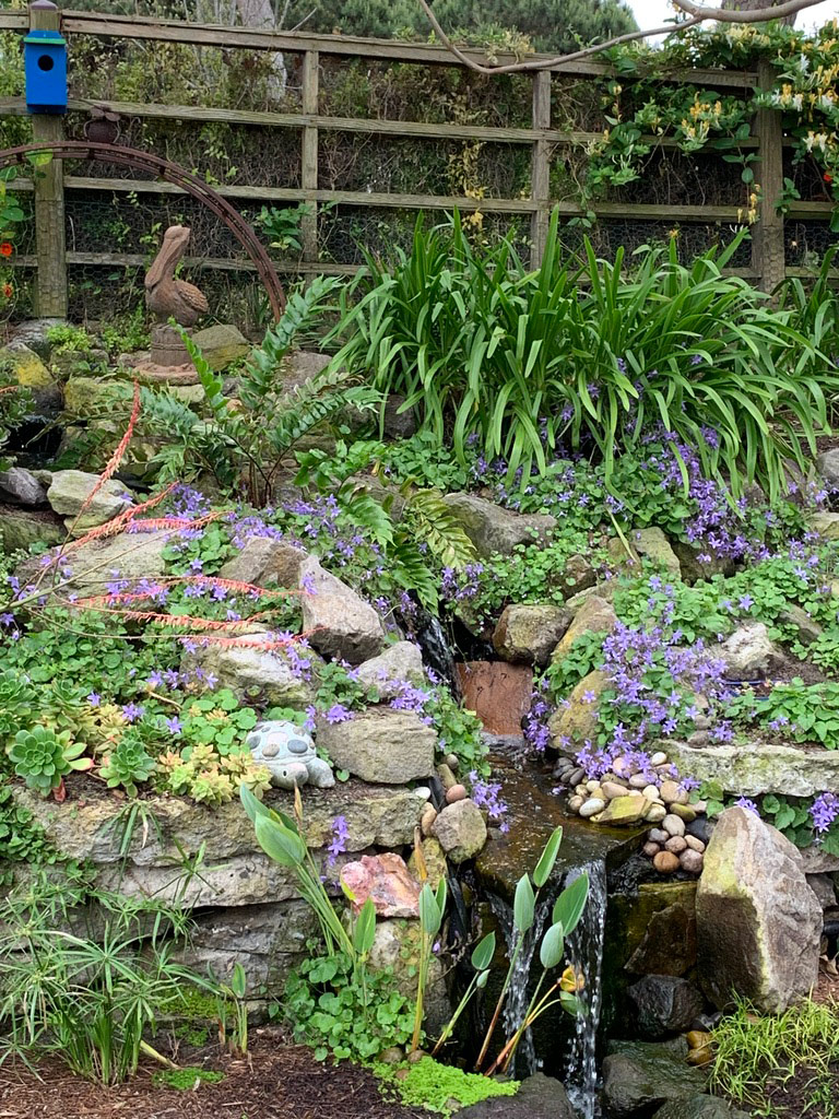 garden pond with waterfall