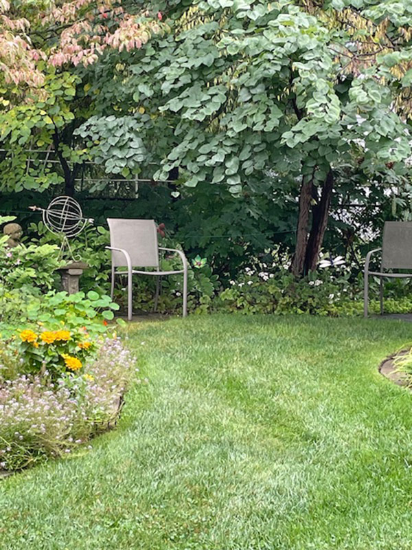 chair blocking deer from getting to garden