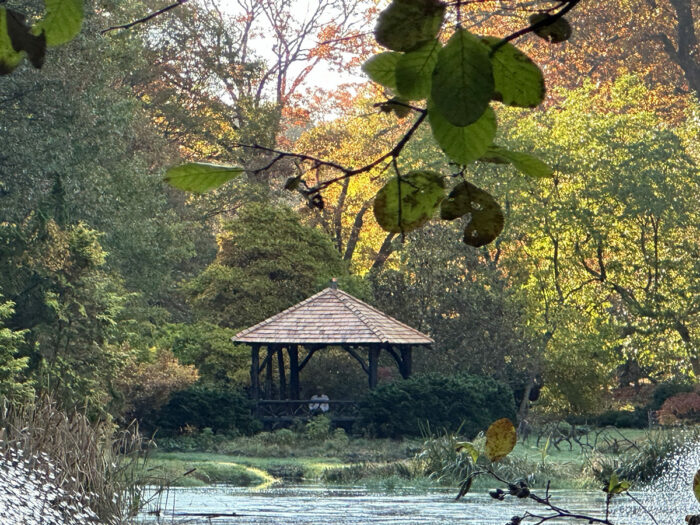 Laurelwood Arboretum gazebo