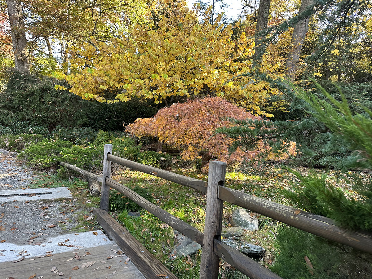 wooden fence on bridge