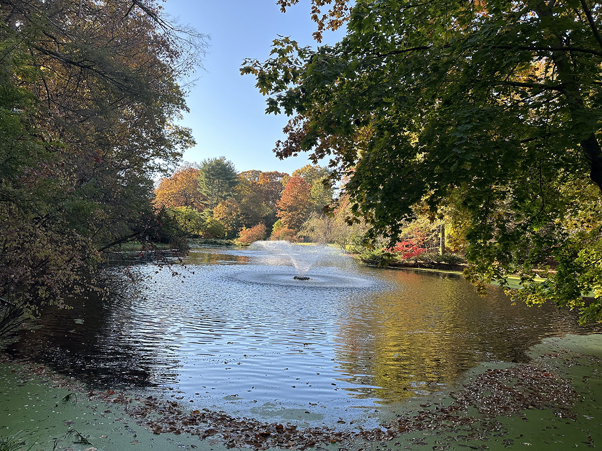 spraying fountain in large pond