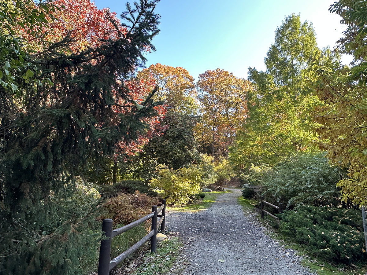 path in autumn