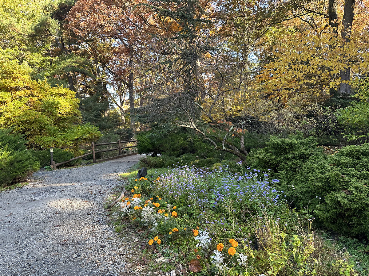 gravel path to bridge